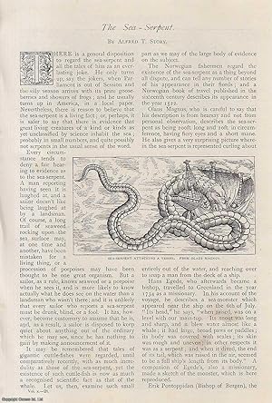 Image du vendeur pour The Sea-Serpent : he only turns up in America when Parliament is out of session & the silly season arrives with its prize. An uncommon original article from The Strand Magazine, 1895. mis en vente par Cosmo Books