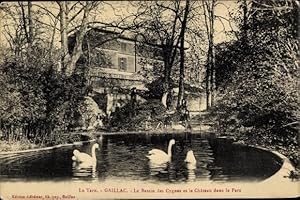 Imagen del vendedor de Ansichtskarte / Postkarte Gaillac Tarn, Le Bassin des Cygnes et le Chteau dans le Parc a la venta por akpool GmbH