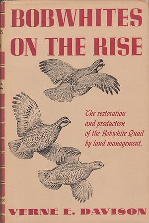 Seller image for Bobwhites on the Rise for sale by Walther's Books