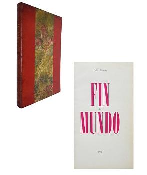 Seller image for Fin de Mundo for sale by LIBROS EL CID CAMPEADOR