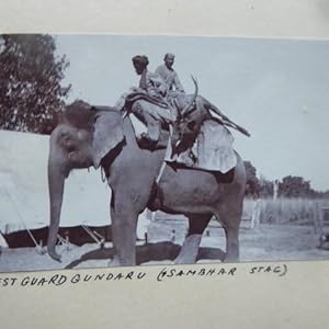 Chila, Hardwar, India. Hunting with Elephant. A Page from a 1911 Album Kpet By an Officer of the ...