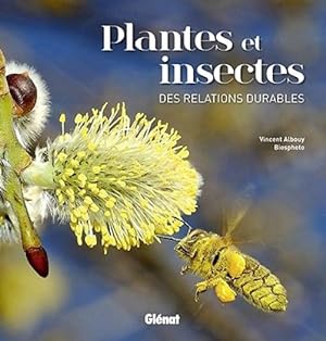 Plantes et insectes - Des relations durables