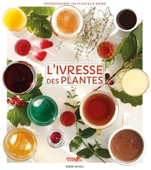 l'ivresse des plantes - Re-découvrir les plantes à boire