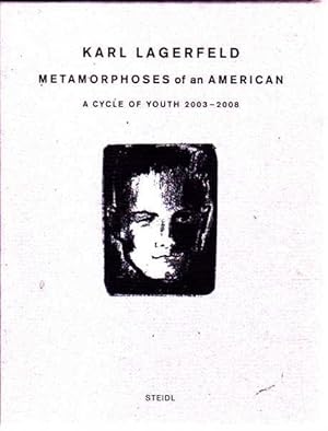 Metamorphoses of an American: a Cycle of Youth 2003-2008 Vols 1-4