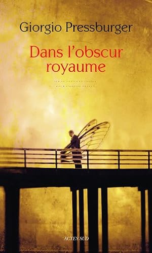 Seller image for Dans l'obscur royaume for sale by librairie philippe arnaiz