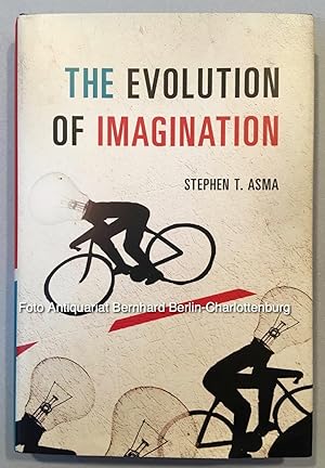 The evolution of imagination