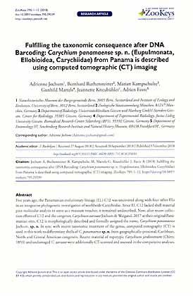 Seller image for Fulfilling the taxonomic consequence after DNA Barcoding: Carychium panamaense sp. n. (Eupulmonata, Ellobioidea, Carychiidae) from Panama is described using computed tomographic (CT) imaging for sale by ConchBooks