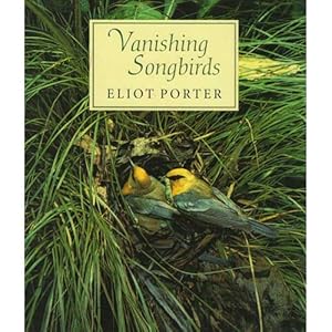 Seller image for Vanishing Songbirds for sale by Buteo Books