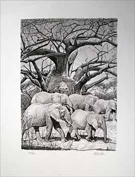 Elephants and the Baobab Tree. (Signed by the artist and hand numbered 222 of an edition of 260)