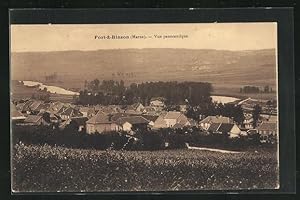 Carte postale Port-a-Binson, Vue panoramique