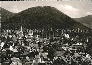 Bad_Harzburg Ortsblick mit Burgberg