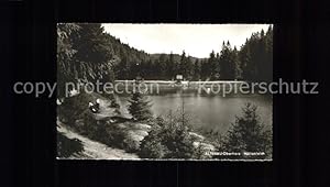 Altenau_Harz Uferpartie am Hüttenteich