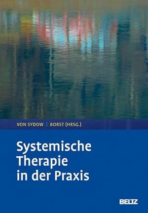 Bild des Verkufers fr Systemische Therapie in der Praxis zum Verkauf von AHA-BUCH GmbH