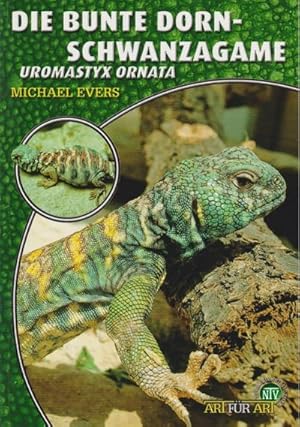 Seller image for Die Bunte Dornschwanzagame : Uromastyx ornata for sale by AHA-BUCH GmbH