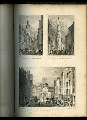 London And its Environs in the Nineteenth Century, Illustrated by a ...
