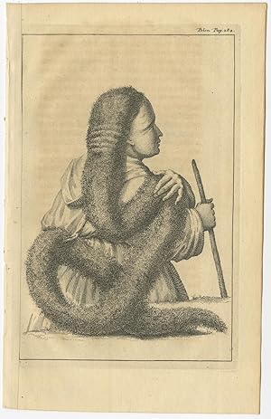 Untitled Print of a Polish Plait by Tirion (1734)