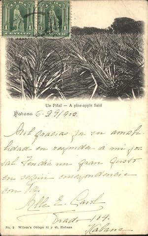 Bild des Verkufers fr Postkarte Carte Postale Habana Havana Un Pinal Pine Apple Field Wappen Stempel auf AK zum Verkauf von Versandhandel Boeger