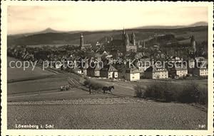 Postkarte Carte Postale Löwenberg Niederschlesien