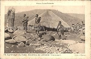 Seller image for Postkarte Carte Postale Transvaal Sdafrika Mission Suisse Romande Egrenage du mais Eingeborene for sale by Versandhandel Boeger