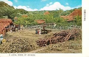 Postkarte Carte Postale Okinawa Local Scene Landwirtschaft