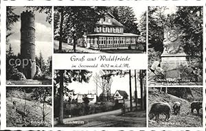 Bild des Verkufers fr Postkarte Carte Postale Waldfriede Altenburg Wald und Berghotel Denkmal des Jgers aus Kurpfalz Rehwild Gstehuser Schwarzwild zum Verkauf von Versandhandel Boeger