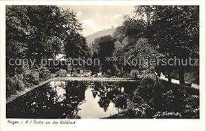 Seller image for Postkarte Carte Postale Hagen Westfalen Partie an der Waldlust for sale by Versandhandel Boeger