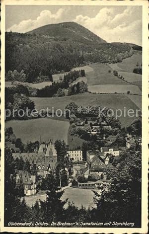 Postkarte Carte Postale Görbersdorf Schlesien Dr. Brehmers Sanatorium mit Storchberg