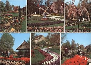 Postkarte Carte Postale Viernheim Tulpenschau Tivoli Park