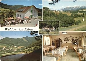 Postkarte Carte Postale Prigglitz Waldpension Kürner Panorama See