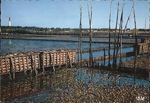 Image du vendeur pour Postkarte Carte Postale Meerestiere Bassin D'Arcachon Cap Ferret Parcs a huitres Austern mis en vente par Versandhandel Boeger