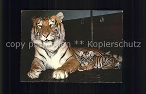 Bild des Verkufers fr Postkarte Carte Postale Tiger Tiere Zoologischer Garten Basel zum Verkauf von Versandhandel Boeger