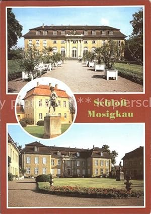 Postkarte Carte Postale Mosigkau Schloß Museum