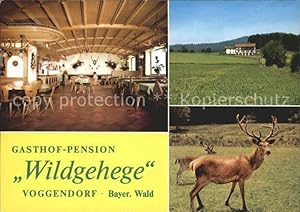 Postkarte Carte Postale Voggendorf Grafenwiesen Gasthof Pension Wildgehege Gastraum Hirsche
