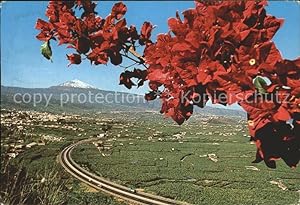 Postkarte Carte Postale La Orotava Vista del Valle Autopista Teide Flores
