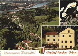 Postkarte Carte Postale Haibach Schärding Gasthof Pension Ortner Erholungsort Haibachtal Blumen