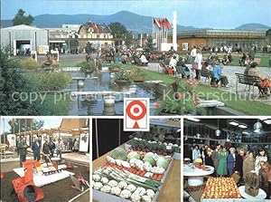 Postkarte Carte Postale Litomerice Leitmeritz Nordböhmen Celostatni vystava ovoce a zeleniny Auss...