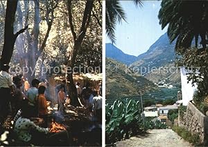 Bild des Verkufers fr Postkarte Carte Postale La Gomera Grillen im Zedernwald zum Verkauf von Versandhandel Boeger