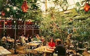 Image du vendeur pour Postkarte Carte Postale Clearwater Florida Kapok Tree Patio dining amid a tropical indoor garden mis en vente par Versandhandel Boeger