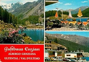 Postkarte Carte Postale Weissbrunn Fontana bianca Gasthaus Enzian Albergo Genziana See Alpen