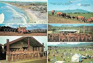 Bild des Verkufers fr Postkarte Carte Postale Waikato Thames Valley Waihi Surf Beach Farmer Horse Jumping zum Verkauf von Versandhandel Boeger