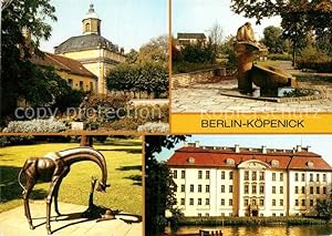 Postkarte Carte Postale Köpenick Schloss Skulpturen Statue Schlosspark