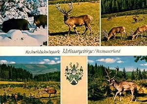 Bild des Verkufers fr Postkarte Carte Postale Hochsauerland Hochwildschutzpark Rothaargebirge Rot und Schwarzwild zum Verkauf von Versandhandel Boeger