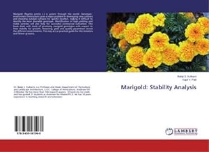 Imagen del vendedor de Marigold: Stability Analysis a la venta por AHA-BUCH GmbH