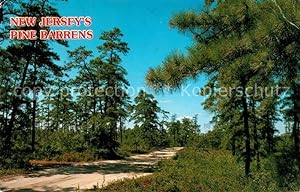 Image du vendeur pour Postkarte Carte Postale New Jersey Pine Barrens mis en vente par Versandhandel Boeger