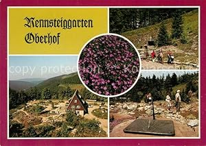 Seller image for Postkarte Carte Postale Oberhof Thringen Rennsteiggarten Gaststtte Sonnenuhr Gebirgsflora Wandern for sale by Versandhandel Boeger