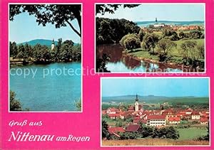 Bild des Verkufers fr Postkarte Carte Postale Nittenau Blick ber den Regen Landschaftspanorama Gesamtansicht zum Verkauf von Versandhandel Boeger