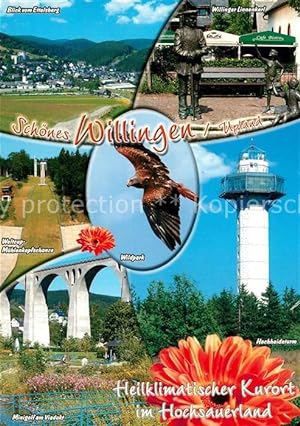 Postkarte Carte Postale Willingen Sauerland Panorama Blick vom Ettelsberg Linnenkerl Statue Weltc...