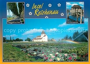Bild des Verkufers fr Postkarte Carte Postale Insel Reichenau Pappelallee zur Insel Schiffsanlegestelle Oberzell St Georg zum Verkauf von Versandhandel Boeger