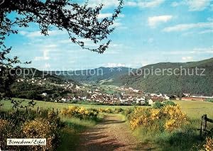 Postkarte Carte Postale Birresborn Panorama