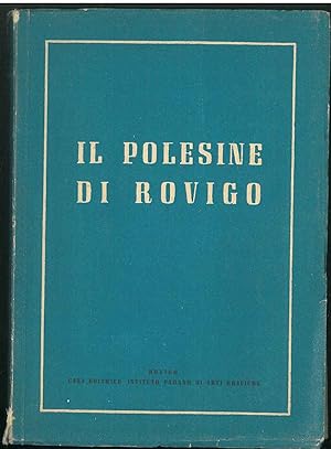 Il Polesine di Rovigo. Guida turistica
